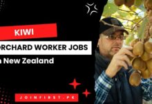 Kiwi Orchard Worker Jobs in New Zealand