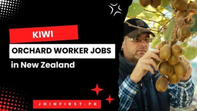 Kiwi Orchard Worker Jobs in New Zealand