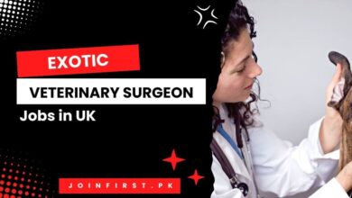 Exotic Veterinary Surgeon Jobs in UK
