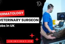 Dermatology Veterinary Surgeon Jobs in UK