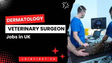 Dermatology Veterinary Surgeon Jobs in UK