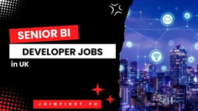 Senior BI Developer Jobs in UK