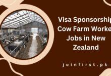 Visa Sponsorship Cow Farm Worker Jobs in New Zealand