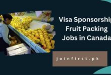 Visa Sponsorship Fruit Packing Jobs in Canada