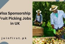 Visa Sponsorship Fruit Picking Jobs in UK