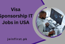 Visa Sponsorship IT Jobs in USA