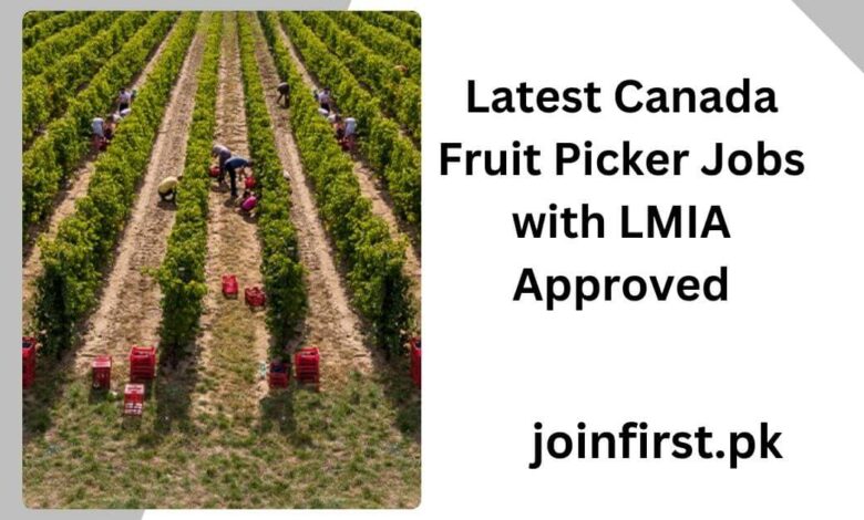 Latest Canada Fruit Picker Jobs with LMIA Approved