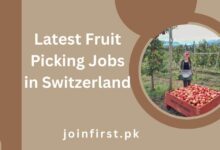 Latest Fruit Picking Jobs in Switzerland