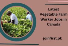 Latest Vegetable Farm Worker Jobs in Canada