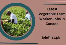 Latest Vegetable Farm Worker Jobs in Canada