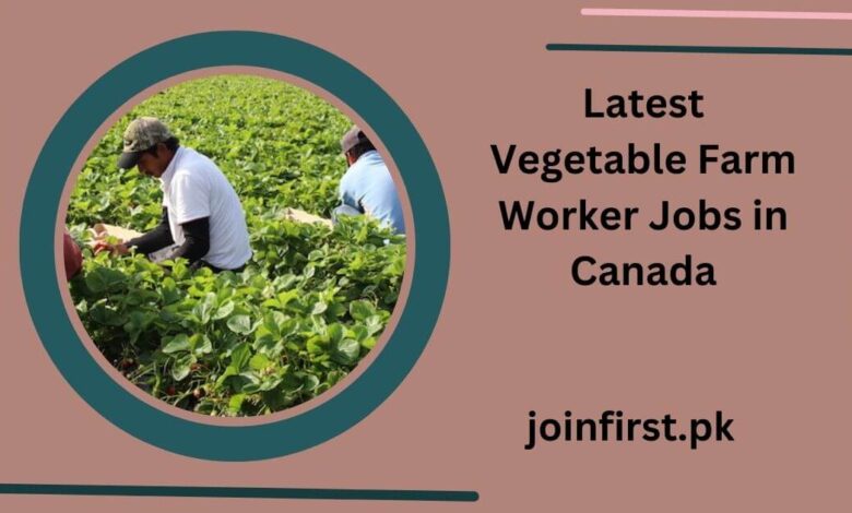 Latest Vegetable Farm Worker Jobs in Canada