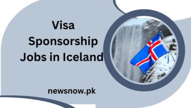 Visa Sponsorship Jobs in Iceland