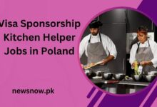 Visa Sponsorship Kitchen Helper Jobs in Poland