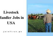 Livestock Handler Jobs in USA