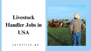 Livestock Handler Jobs in USA