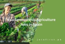 Visa Sponsorship Agriculture Jobs in Spain