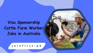 Visa Sponsorship Cattle Farm Worker Jobs in Australia