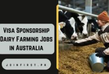 Visa Sponsorship Dairy Farming Jobs in Australia
