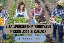 Visa Sponsorship Vegetable Picker Jobs in Canada