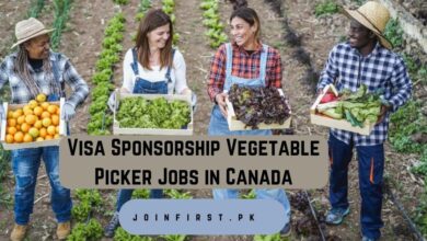 Visa Sponsorship Vegetable Picker Jobs in Canada