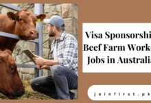 Visa Sponsorship Beef Farm Worker Jobs in Australia