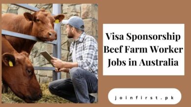 Visa Sponsorship Beef Farm Worker Jobs in Australia