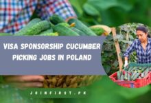 Visa Sponsorship Cucumber Picking Jobs in Poland