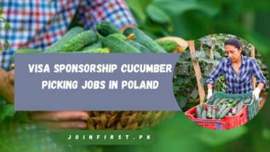 Visa Sponsorship Cucumber Picking Jobs in Poland