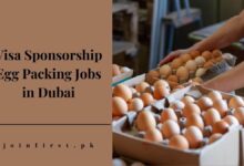 Visa Sponsorship Egg Packing Jobs in Dubai