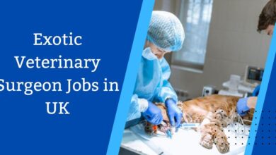 Exotic Veterinary Surgeon Jobs in UK