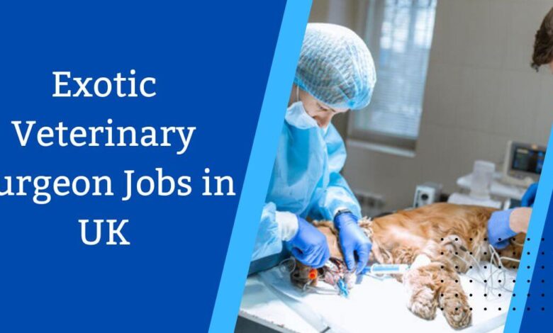 Exotic Veterinary Surgeon Jobs in UK
