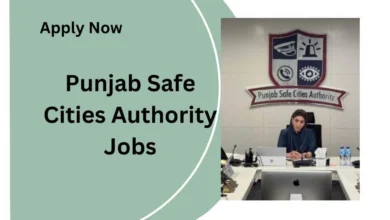 Punjab Safe Cities Authority Jobs