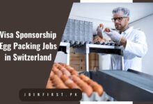 Visa Sponsorship Egg Packing Jobs in Switzerland