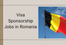 Visa Sponsorship Jobs in Romania