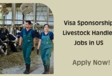 Visa Sponsorship Livestock Handler Jobs in US