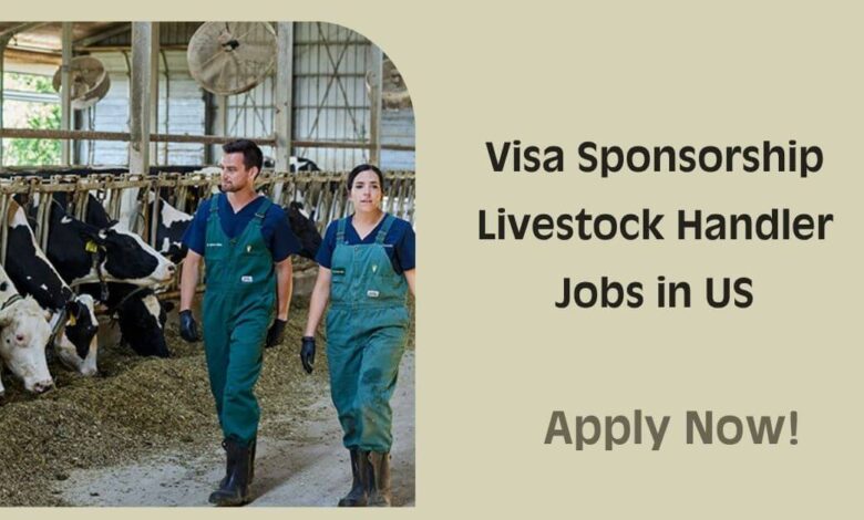 Visa Sponsorship Livestock Handler Jobs in US