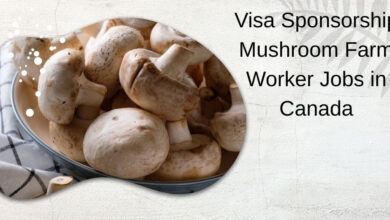 Visa Sponsorship Mushroom Farm Worker Jobs in Canada