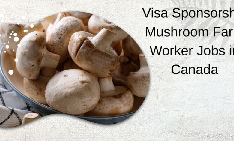 Visa Sponsorship Mushroom Farm Worker Jobs in Canada