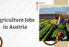 Agriculture Jobs in Austria