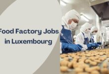 Food Factory Jobs in Luxembourg
