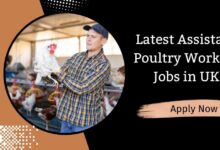 Latest Assistant Poultry Workers Jobs in UK