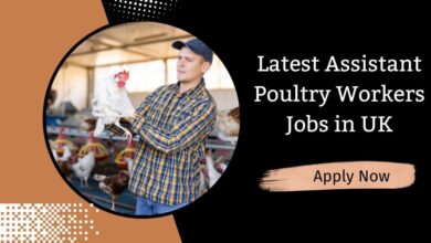 Latest Assistant Poultry Workers Jobs in UK