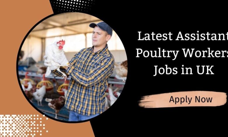 Latest Assistant Poultry Workers Jobs in UK