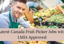 Latest Canada Fruit Picker Jobs with LMIA Approved