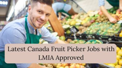 Latest Canada Fruit Picker Jobs with LMIA Approved