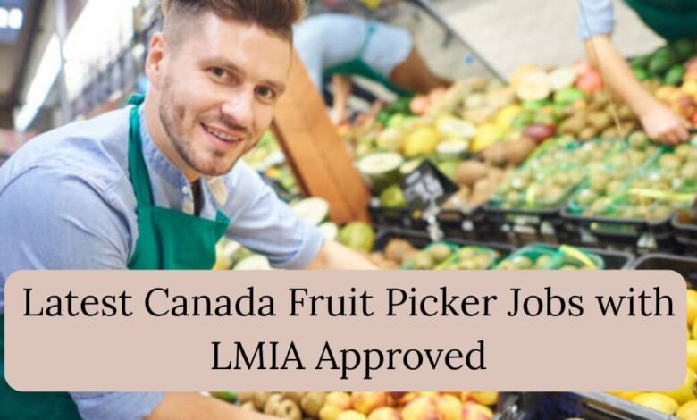 Latest Canada Fruit Picker Jobs with LMIA Approved