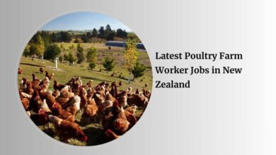 Latest Poultry Farm Worker Jobs in New Zealand