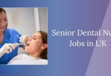 Senior Dental Nurse Jobs in UK
