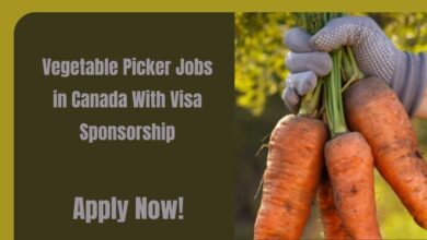 Vegetable Picker Jobs in Canada With Visa Sponsorship