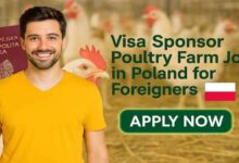 Visa Sponsor Poultry Farm Jobs in Poland for Foreigners